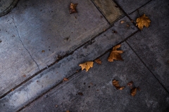 portfolio-113_30983899378_o