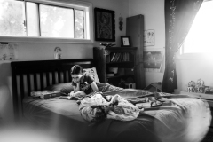 portfolio-47_44193146570_o